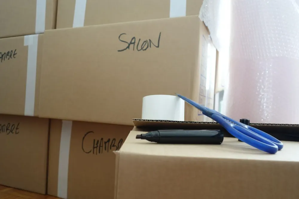 Demenagement mutation